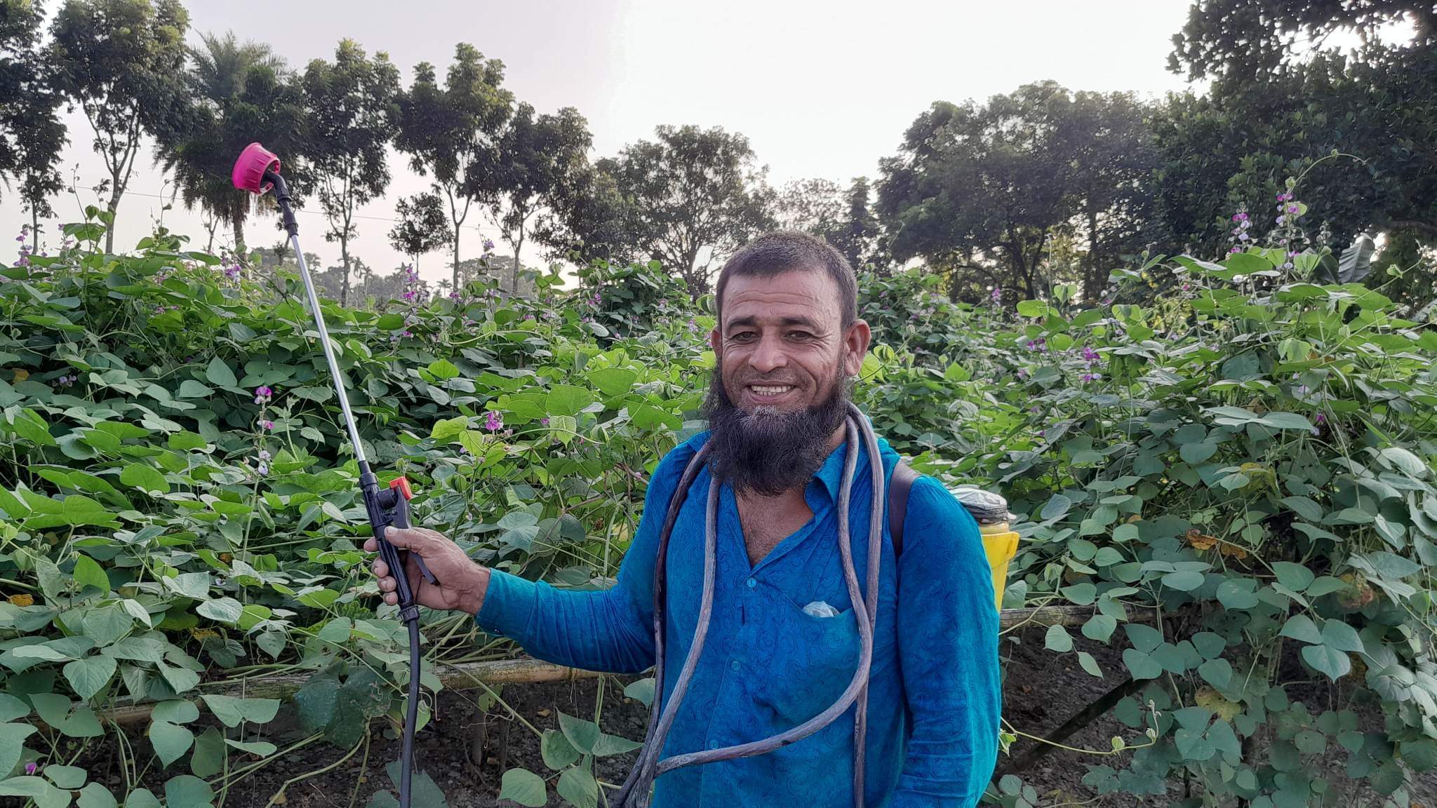 পলাশে শিম চাষে লাখপতি, সংসারে ফিরেছে স্বচ্ছলতা