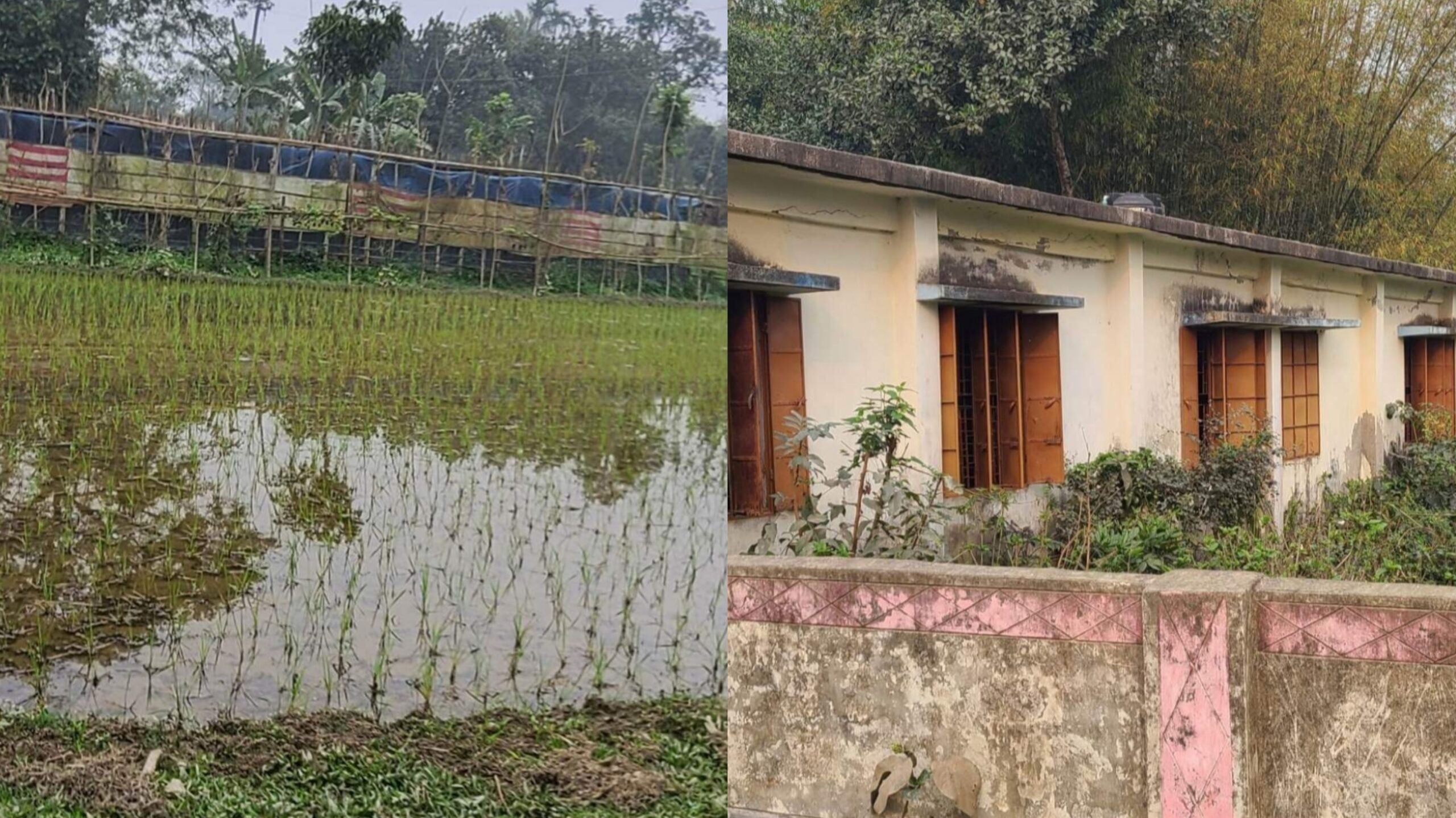 মনোহরদীতে স্কুলের জমি ৪৩ বছর ধরে দখল করার অভিযোগ