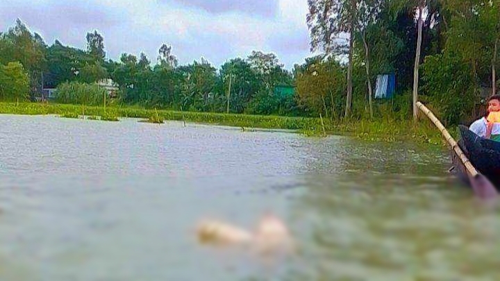 নরসিংদীর মেঘনা নদী থেকে অর্ধগলিত মরদেহ উদ্ধার