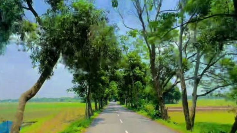 মনোহরদীতে ধান বোঝাই ট্রাক্টরের ধাক্কায় কৃষকের মৃত্যু