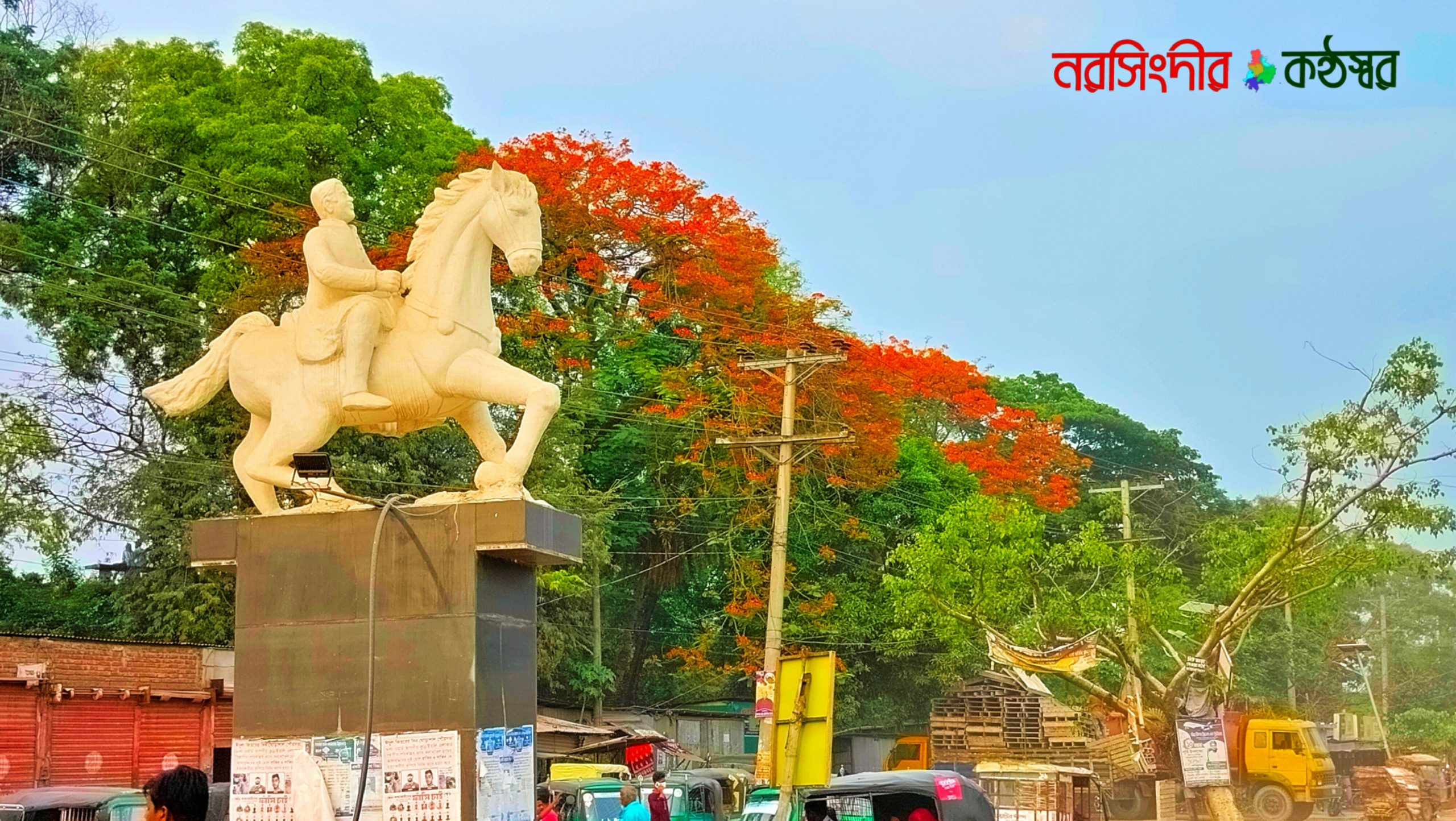 ঘোড়াশালে কৃষ্ণচূড়া নজড় কাড়ছে প্রকৃতিপ্রেমীদের