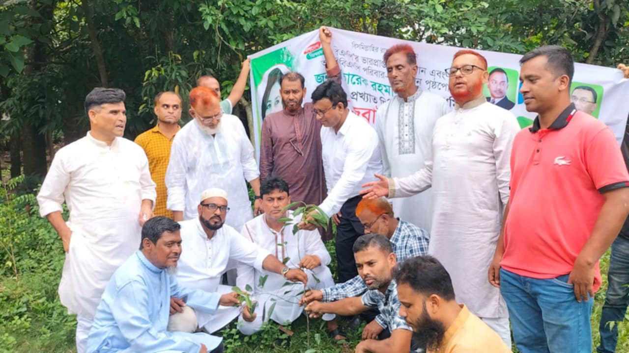 রায়পুরায় আমরা বিএনপি পরিবার এর দিনব্যাপী বৃক্ষরোপণ কর্মসূচি