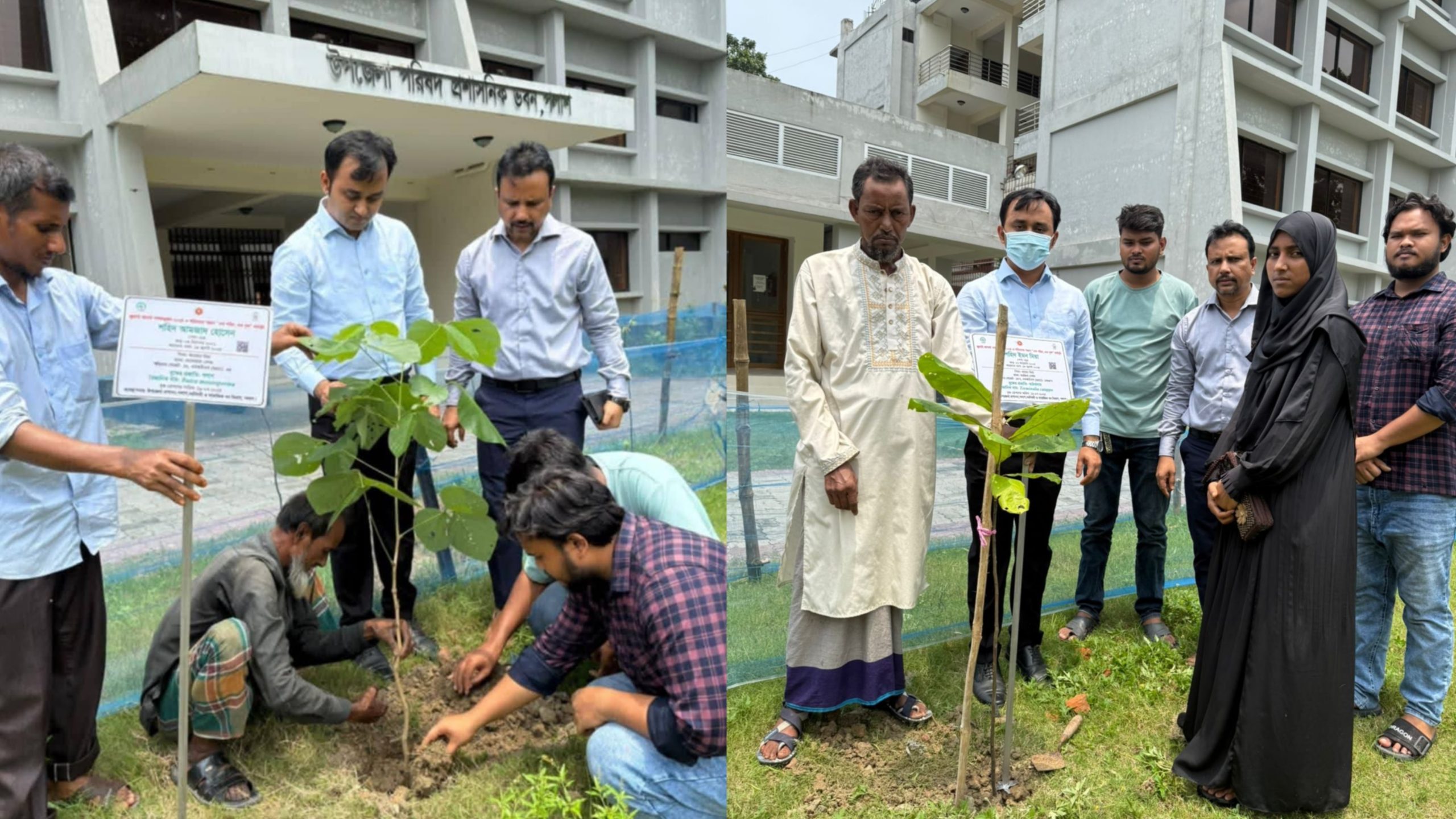 পলাশে জুলাই শহীদদের স্মরণে “এক শহীদ, এক বৃক্ষ রোপন