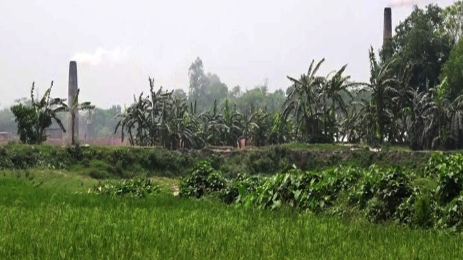 পলাশের ডাংগায় ভূমিকম্পে এক কৃষকের মৃত্যু