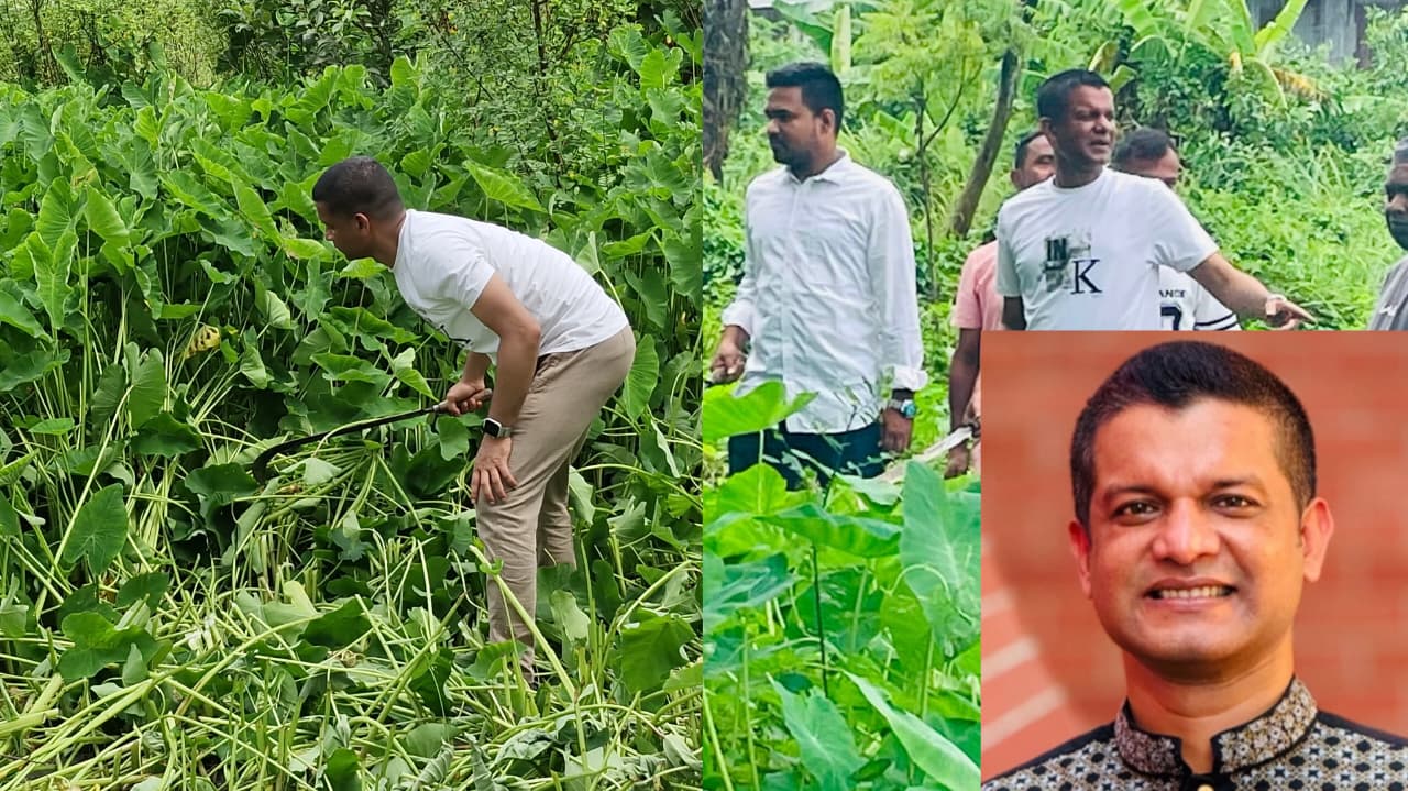 নরসিংদীতে ছাত্রদল সভাপতি নাহিদের উদ্যোগে পৌর কবরস্থানের সংস্কার কাজ শুরু